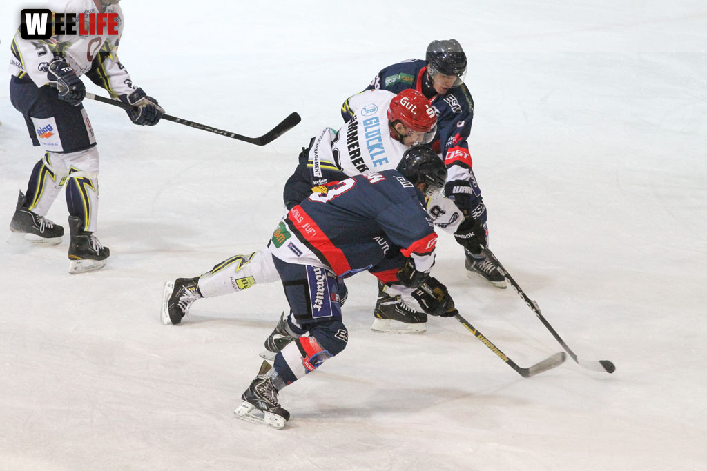 Selber Wölfe - Schweinfurt Mighty Dogs