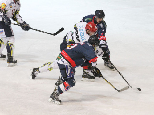 Selber Wölfe - Schweinfurt Mighty Dogs – Foto 277