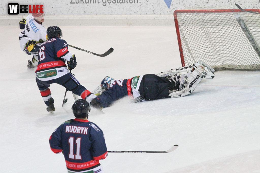 Selber Wölfe - Schweinfurt Mighty Dogs