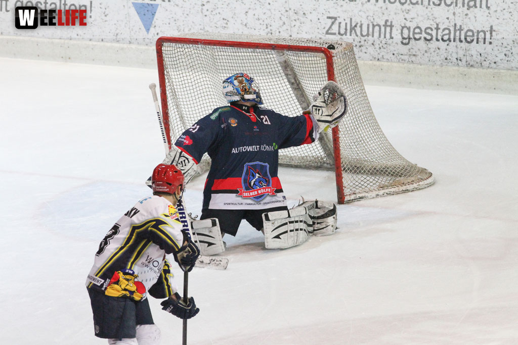 Selber Wölfe - Schweinfurt Mighty Dogs