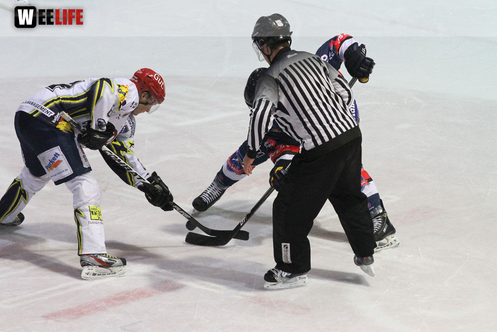 Selber Wölfe - Schweinfurt Mighty Dogs