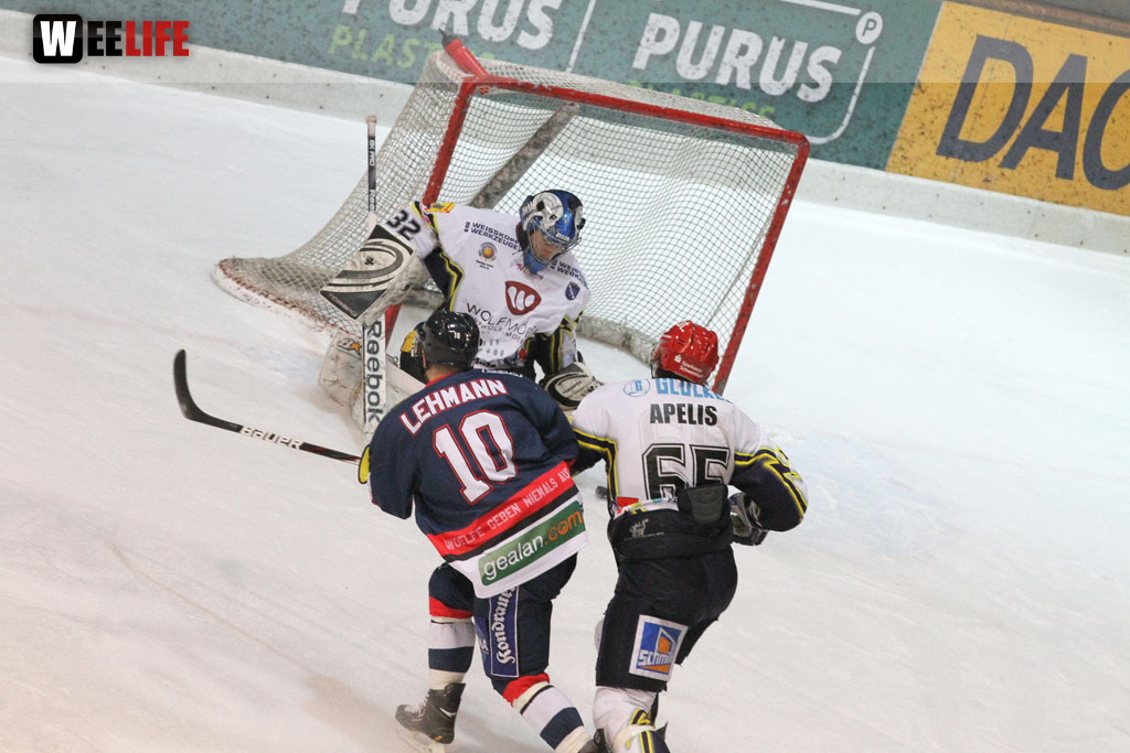 Selber Wölfe - Schweinfurt Mighty Dogs