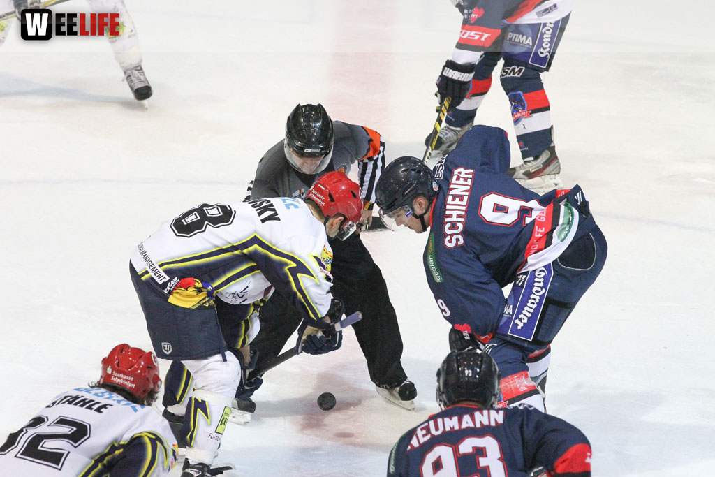 Selber Wölfe - Schweinfurt Mighty Dogs