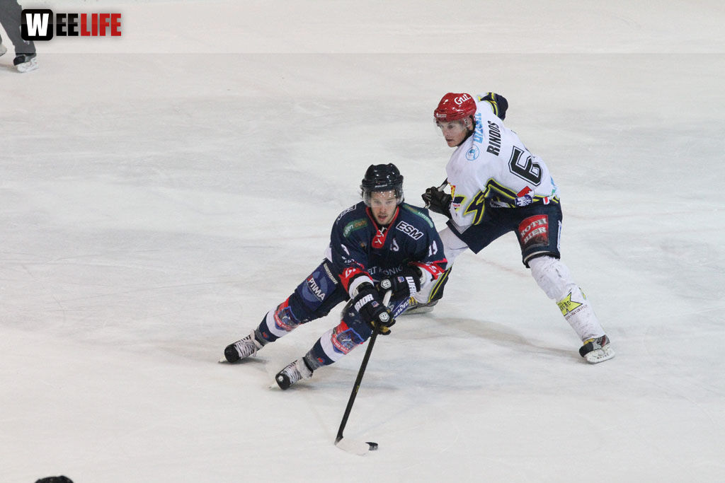 Selber Wölfe - Schweinfurt Mighty Dogs
