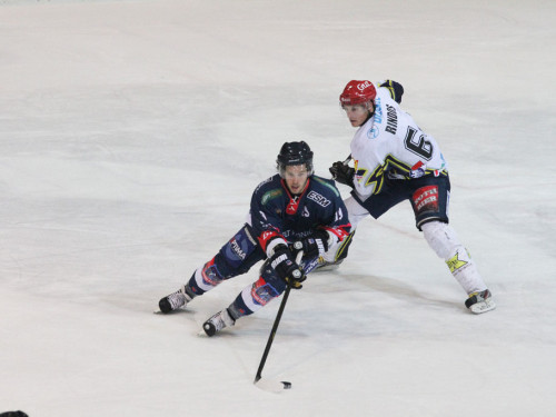 Selber Wölfe - Schweinfurt Mighty Dogs – Foto 294