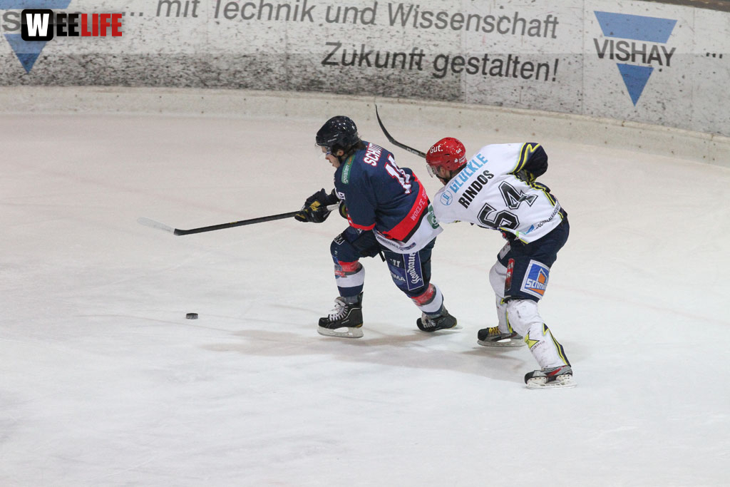 Selber Wölfe - Schweinfurt Mighty Dogs