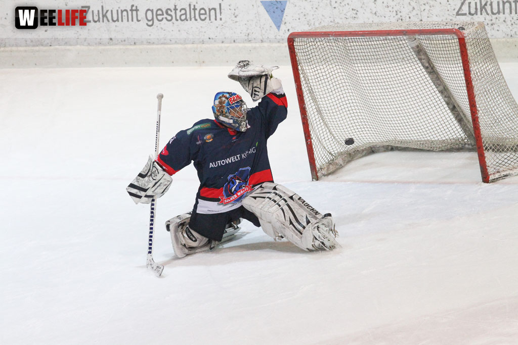 Selber Wölfe - Schweinfurt Mighty Dogs