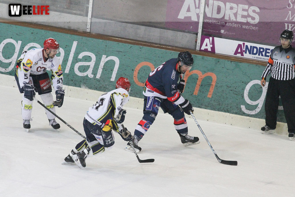 Selber Wölfe - Schweinfurt Mighty Dogs