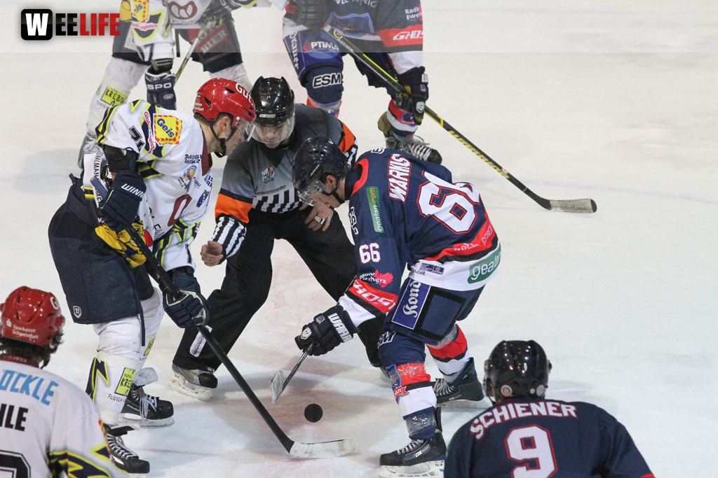 Selber Wölfe - Schweinfurt Mighty Dogs