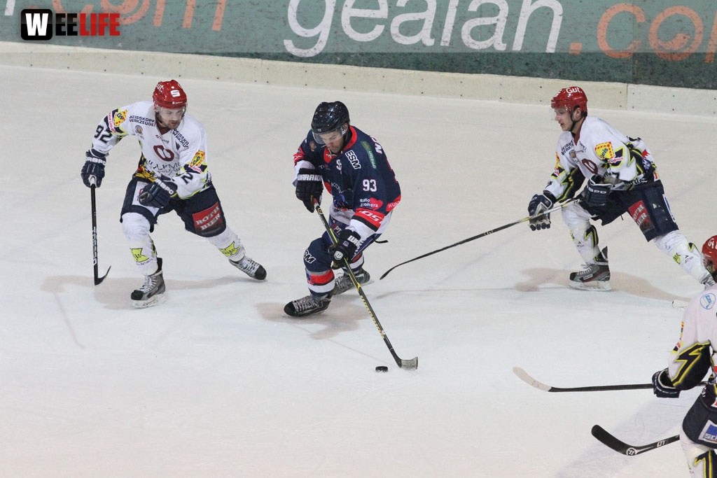 Selber Wölfe - Schweinfurt Mighty Dogs