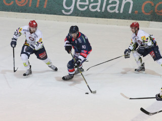 Foto 45895 im Album