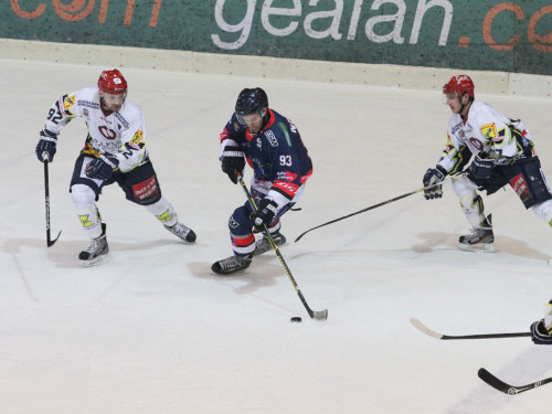 Selber Wölfe - Schweinfurt Mighty Dogs – Foto 302