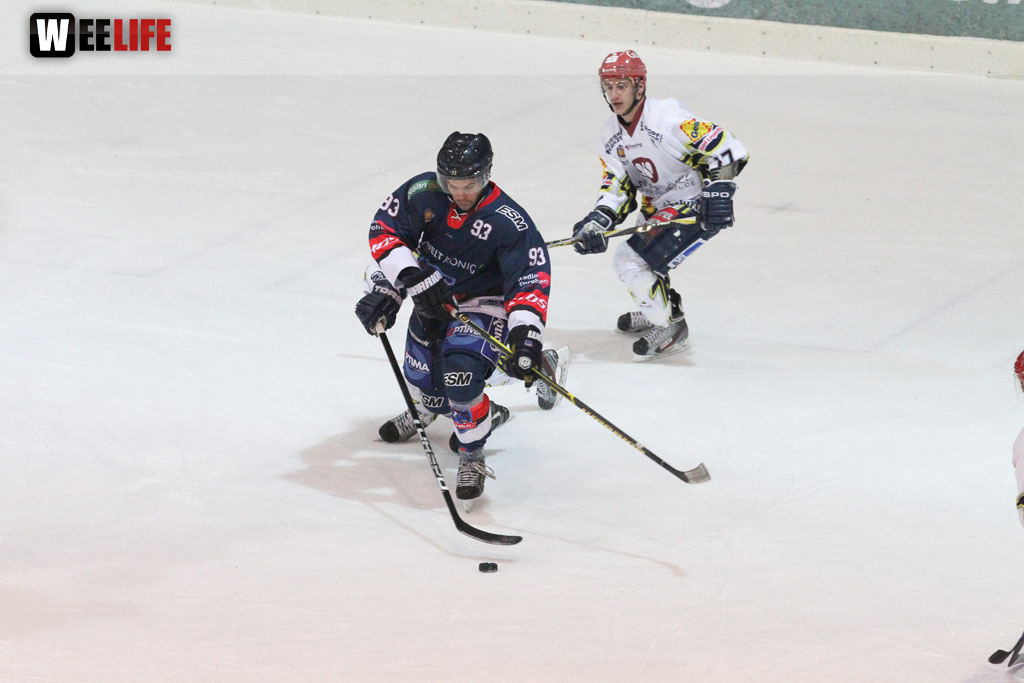 Selber Wölfe - Schweinfurt Mighty Dogs
