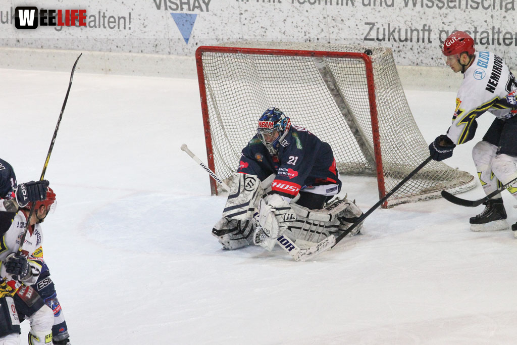 Selber Wölfe - Schweinfurt Mighty Dogs