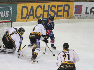 Foto 46262 im Album