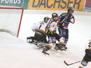 Foto 46292 im Album