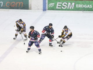 Foto 46498 im Album