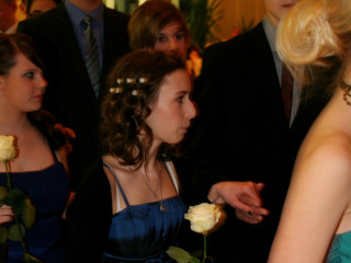 Foto 47363 im Album