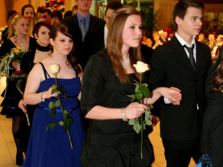 Foto 47383 im Album