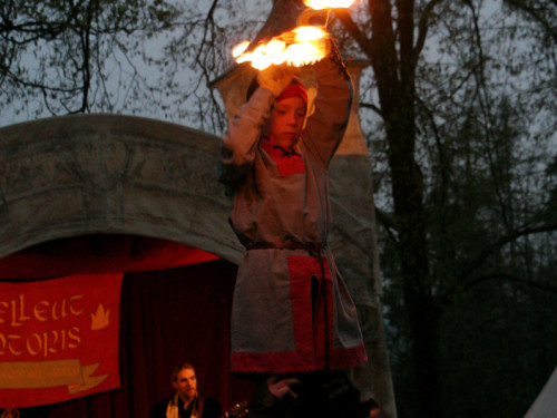  8. Burgfest am Labyrinth – Foto 50