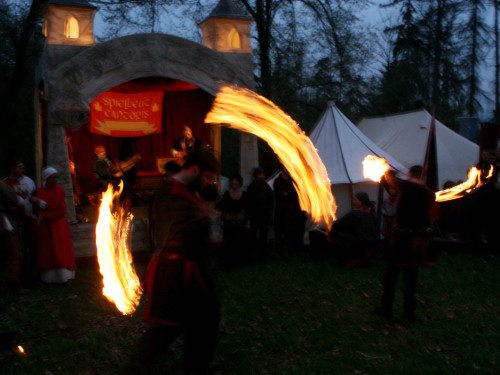  8. Burgfest am Labyrinth – Foto 59
