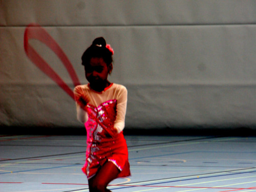 Sportgala des TSV 1861 Hof – Foto 39