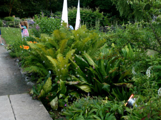 Foto 51072 im Album
