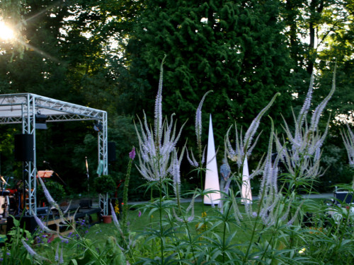 Nacht der Sinne 2013 – Foto 25