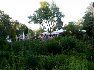Foto 51079 im Album
