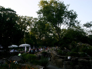 Foto 51082 im Album