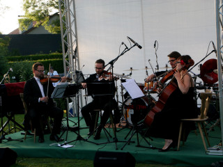 Foto 51096 im Album
