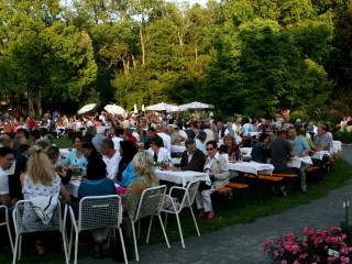 Foto 51111 im Album