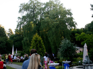 Foto 51123 im Album