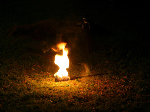 Nacht der Sinne 2013 – Foto 317