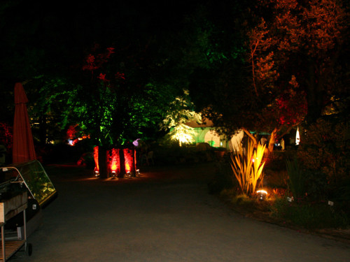 Nacht der Sinne 2013 – Foto 363