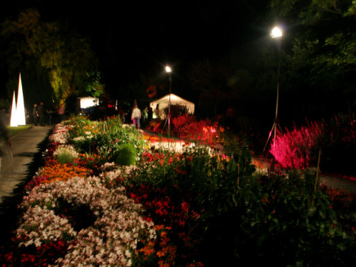 Nacht der Sinne 2013 – Foto 367