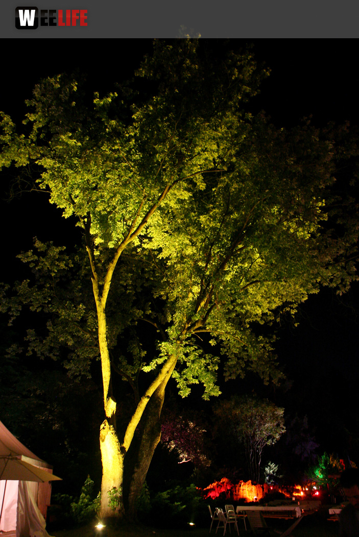 Nacht der Sinne 2013