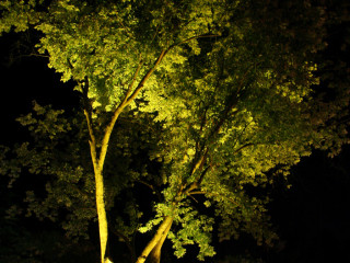 Foto 51420 im Album