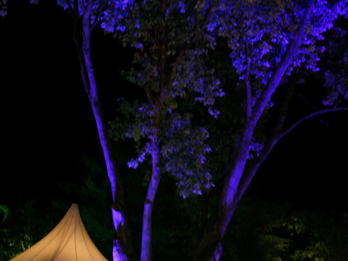 Nacht der Sinne 2013 – Foto 370
