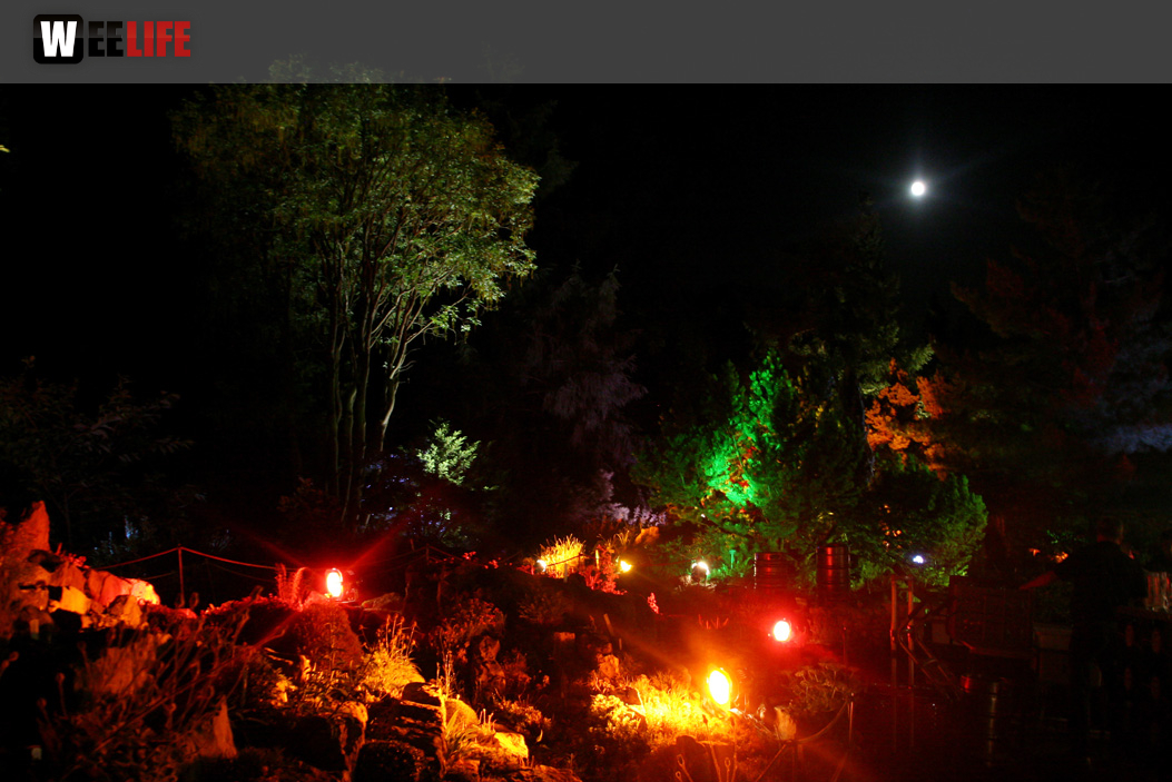 Nacht der Sinne 2013