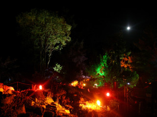 Foto 51425 im Album