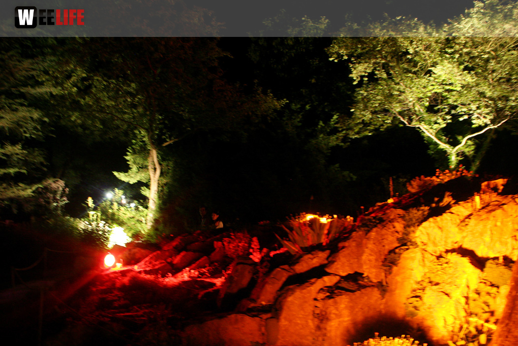 Nacht der Sinne 2013