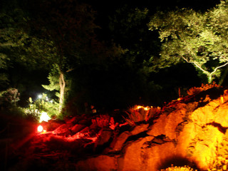 Foto 51426 im Album