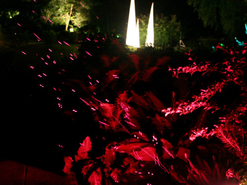Nacht der Sinne 2013 – Foto 375