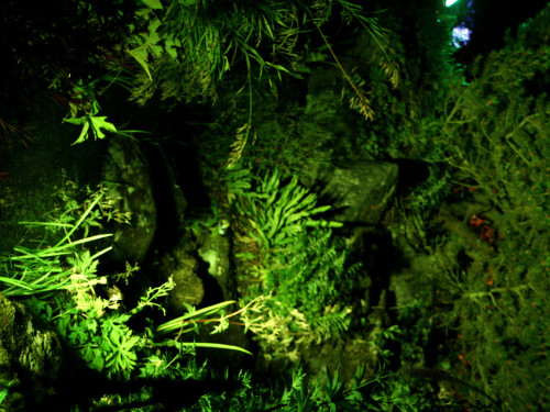 Nacht der Sinne 2013 – Foto 376
