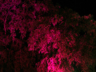 Foto 51429 im Album