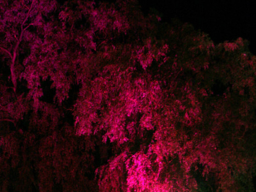 Nacht der Sinne 2013 – Foto 377