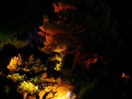 Nacht der Sinne 2013 – Foto 379