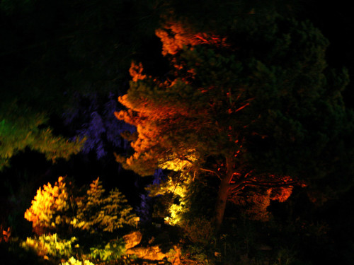 Nacht der Sinne 2013 – Foto 380