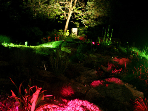 Nacht der Sinne 2013 – Foto 381